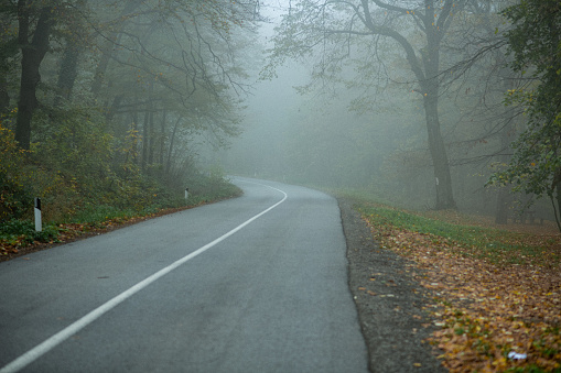 Shot of a road in a forest, on a foggy morning. National park reserve in Autumn.