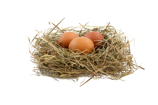 Fresh chicken eggs in a nest isolated on a white background.