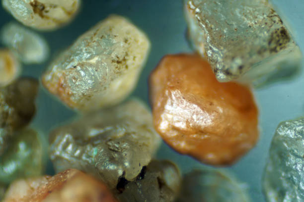 The Microscopic World. Sea sand grains. The Microscopic World. Sea sand grains. sand particle microscope stock pictures, royalty-free photos & images