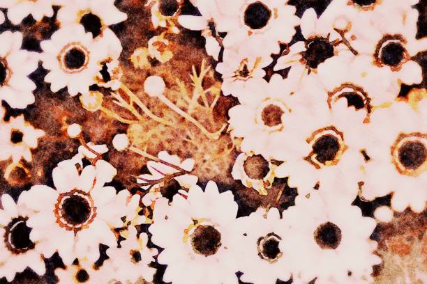 This is my photographic image of beautiful daisy flowers in a modern watercolour effect. Because sometimes you might want a more illustrative image for an organic look.