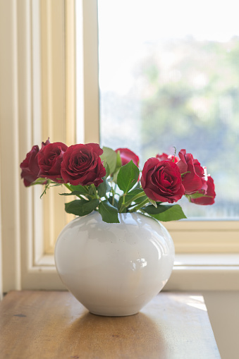 Vertical close up of deep red roses in round white vase on oak table with window in background (selective focus)