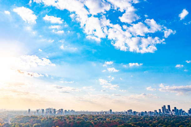 istock Downtown and Rosedale at dusk in Autumn, Toronto, Canada 1441757738