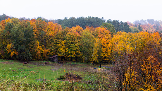 West Danville, Vermont, USA