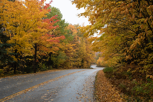 Country road in the fall, White Mountain National Forest, New Hampshire, USA