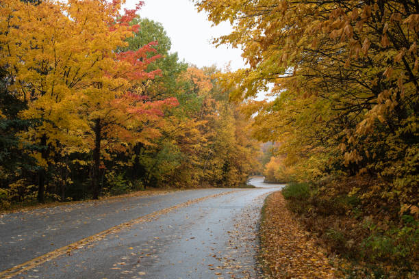 Country road in the fall stock photo
