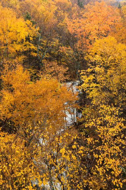 White Mountain National Forest, New Hampshire, USA