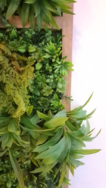 istock Vertical wall garden that uses green artificial leaf, Beautiful background. 1441761139