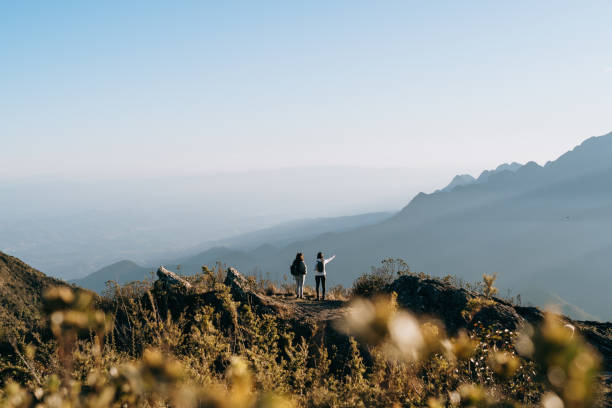 backpacker, die den blick auf den canyon genießen - backpacker green vacations outdoors stock-fotos und bilder