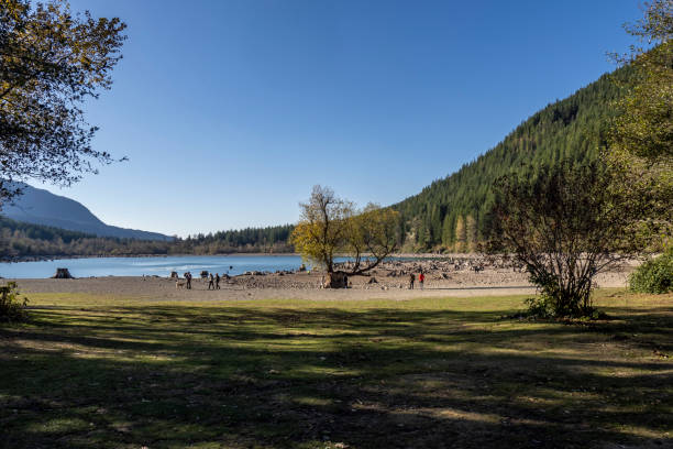 istock Tree stumps in Rattlesnake lake 1441763051