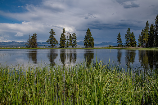 View across Yellowstone Lake with reflections from Gull Point in northwestern Wyoming, Yellowstone National Park, USA.