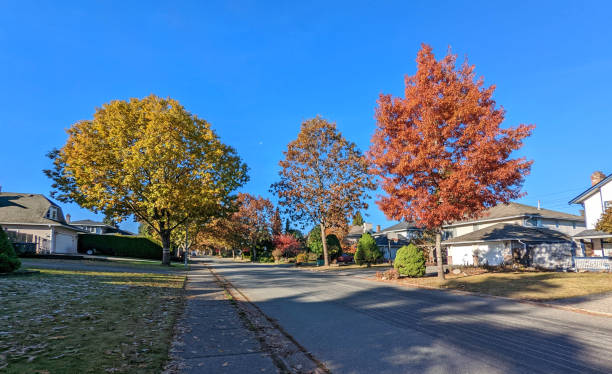 istock Tree-lined Street in Surrey, British Columbia, Canada 1441764413