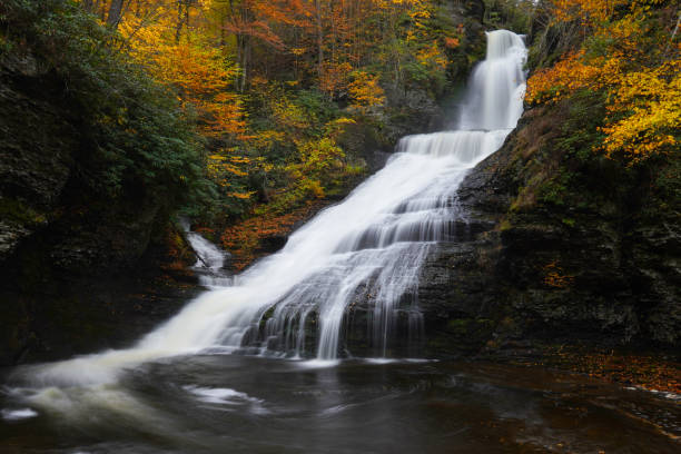 Fall color around Dingmans Falls in Pennsylvania stock photo