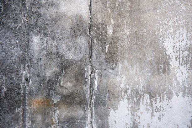 istock concrete crack wall background. cracked weathered concrete background 1441774444