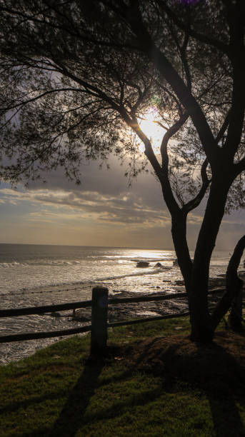 istock Tanah lot beach sunset Bali 1441774484