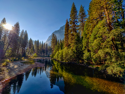 Wide shot of Yosemite's majestic trees and granite walls reflected in the Merced River in  the morning sun