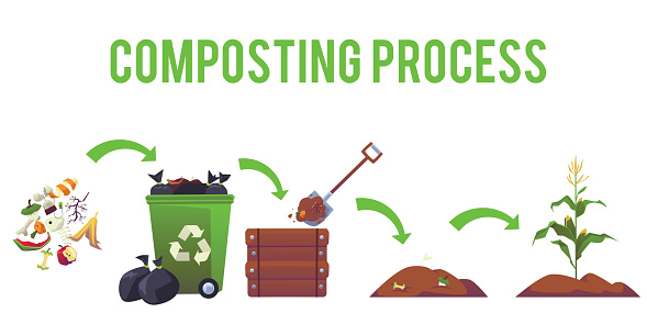 Composting Process 2d Composting Process Stages And Arrows Flat Style Vector Illustration ...