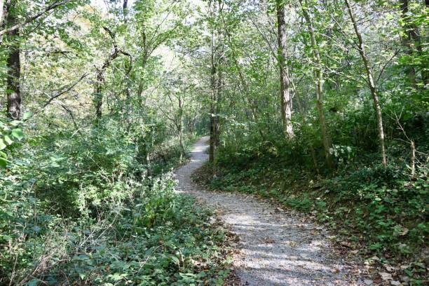 istock Winding Gravel Trail 1441784908