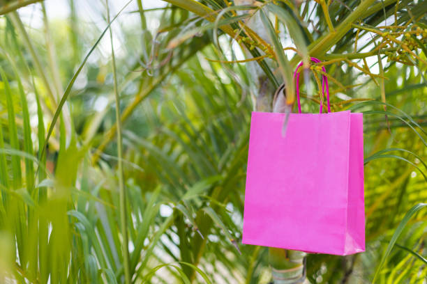 Two pink paper bags near palm tree, closeup. Closeup.Mockup.