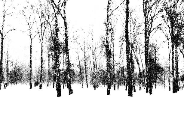 Birch forest landscape in cold winter day. Dotwork style snowy park with tree silhouettes. Birch forest landscape in cold winter day. Dotwork style snowy park with tree silhouettes birch bark background stock illustrations