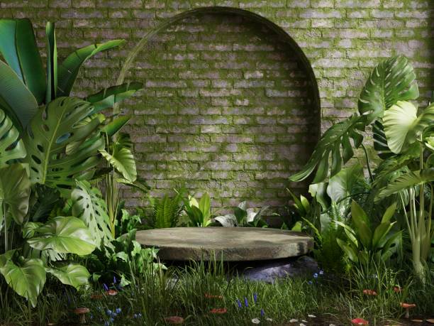 istock Mossy podium in tropical forest for product presentation and wall moss background. 1441791522