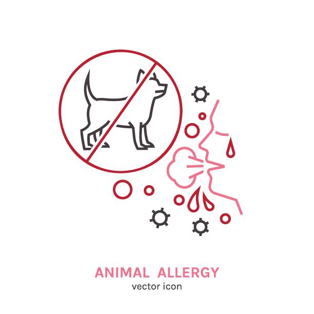 ilustraciones, imágenes clip art, dibujos animados e iconos de stock de tipos de alergia. alergias causadas por animales. ilustración vectorial - scratching dog skin condition allergy