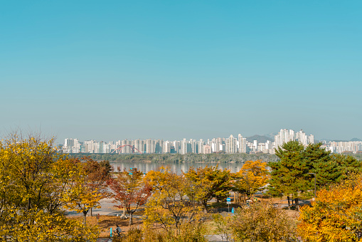 Yeouido Hangang Park, autumn leaves and river city view in Seoul, Korea