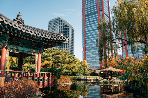 Yeouido park autumn leaves and traditional pavilion in Seoul, Korea
