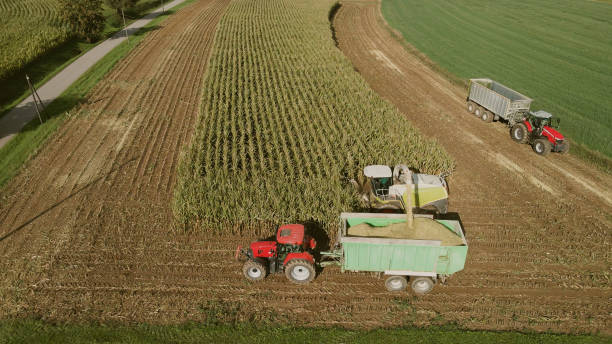istock The combine collects harvests on the corn field 1441804604