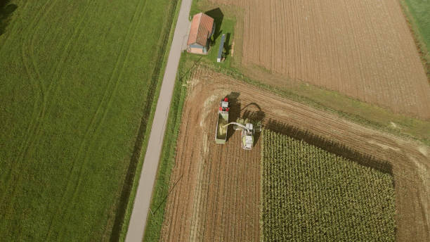istock The combine collects harvests on the corn field 1441804719