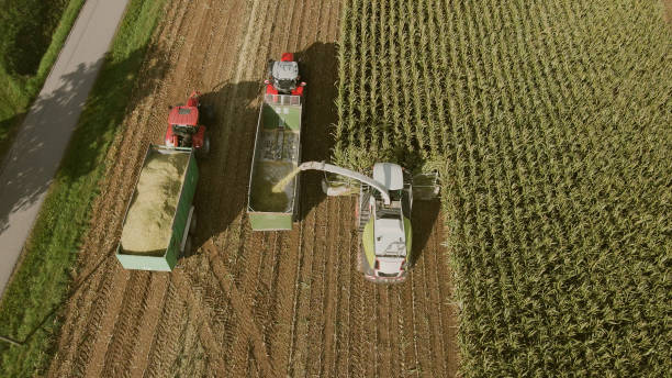 istock The combine collects harvests on the corn field 1441804748