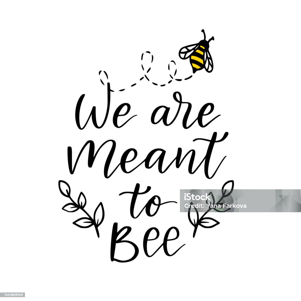 Nous Sommes Destines A Labeille Citation Drole Dabeille Lettrage Dessine A La Main Pour Une Impression Mignonne Citations Positives Isolees Sur Fond Blanc Slogan Joyeux Pour Tshirt Illustration Vectorielle Avec Bourdons Et Nous Sommes Destines A Labeille Citation Drole Dabeille Lettrage Dessine A La Main Pour Une Impression Mignonne Citations Positives Isolees Sur Fond Blanc Slogan Joyeux Pour Tshirt Illustration Vectorielle Avec Bourdons Et
