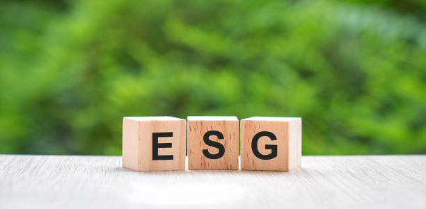 istock ESG, letters on wood block cube with green nature background. 1441812728