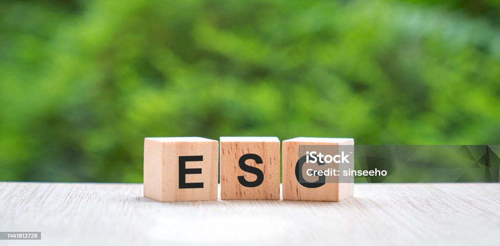 ESG, letras em cubo de bloco de madeira com fundo verde da natureza. - Foto de stock de Questão social royalty-free