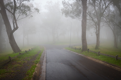 A misty day at Picnic Point, Toowoomba