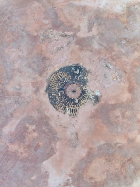 istock Begumpur Mosque, Delhi 1441823436
