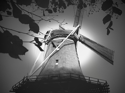 This original old windmill stands in the fields on the popular German holiday island  Foehr in the North Sea.Wheat and Corn Fields surround this beautiful old industrial buildingforeground in focus