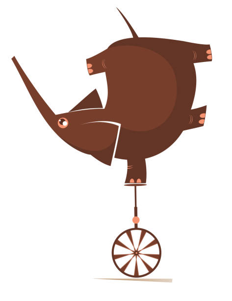 ilustrações de stock, clip art, desenhos animados e ícones de cartoon elephant balances on the unicycle illustration - unicycling unicycle cartoon balance