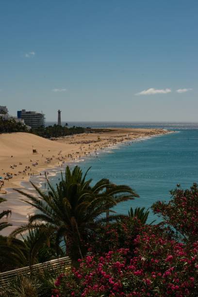 istock Vertical shot of people relaxing on sandy beach 1441829577
