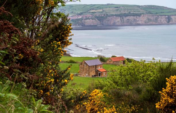 duży kąt domów na zielonych wzgórzach w zatoce robin hooda w yorkshire w anglii - robin hoods bay zdjęcia i obrazy z banku zdjęć