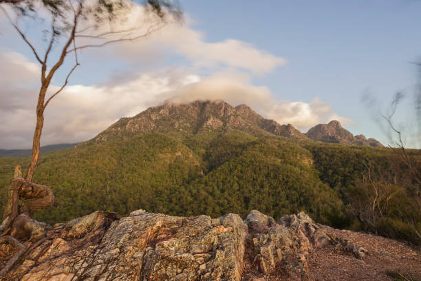 istock Yellow Pinch Lookout 1441830389