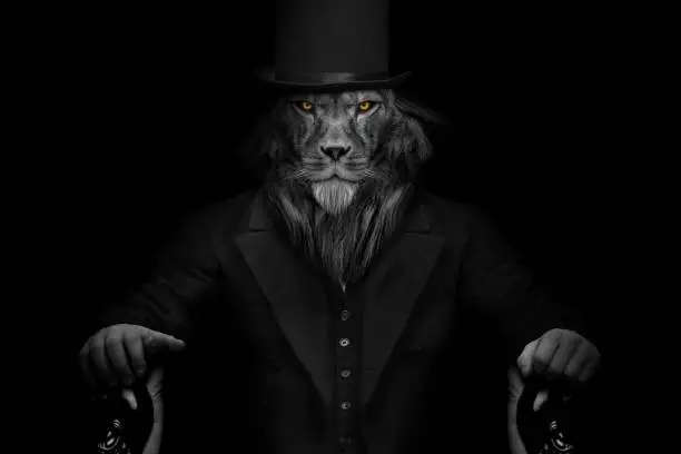 The grayscale shot of the lion with a human body in a dark coat against the black background.