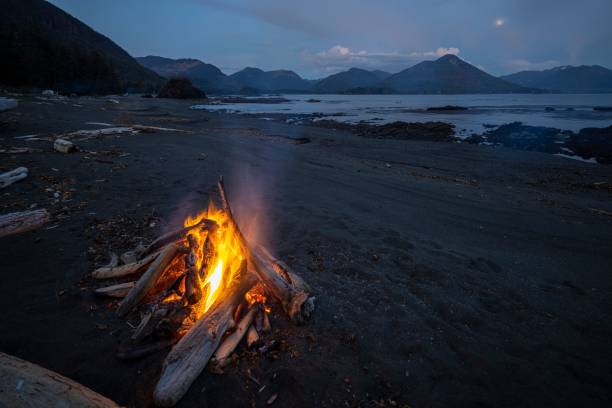 istock Campfire on calm lake shore with mountains in the background 1441831280