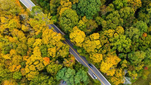 aerial shot of a road going through woods by indiana university, bloomington, indiana - indiana autumn woods forest imagens e fotografias de stock