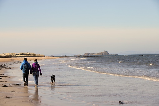 North Berwick, United Kingdom – February 27, 2022: A panoramic shot of a couple and a dog walking along the beautiful beach in East Lothian