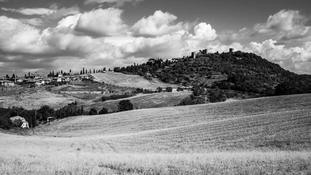 istock Grayscale shot of a crop field on a mountain range on a cloudy day 1441833235