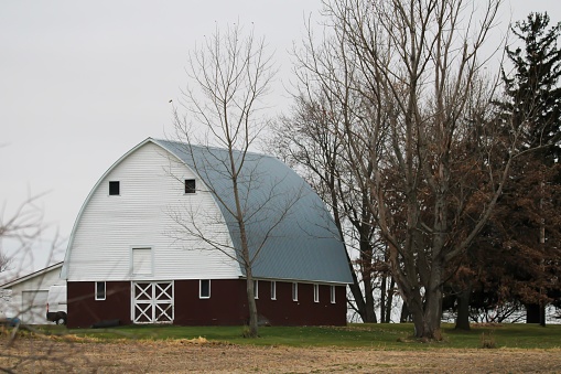 A closeup shot of a white and brown wooden barn on a field with dry trees surrounding it