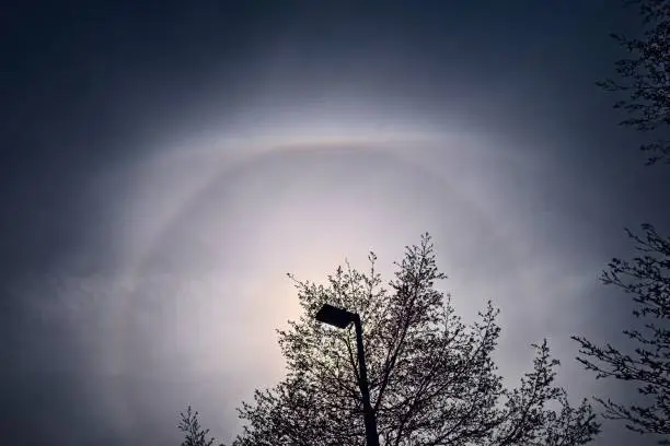 Photo of Solar Halo and Upper Tangent Arc