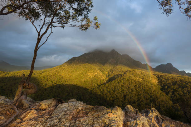 istock Yellow Pinch Lookout 1441834299