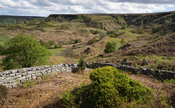 istock Landslips and rocky slopes 1441834795