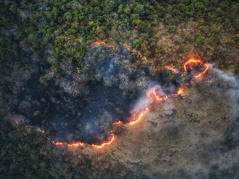 An aerial view of forest fire